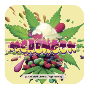 Black-Tuna-Seeds-TROPICANNA-PUNCH-LINE_MERENGON