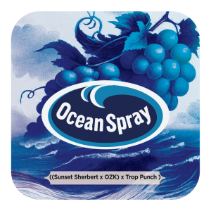 Ocean Spray F1