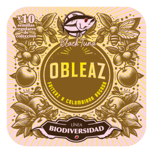 Obleaz