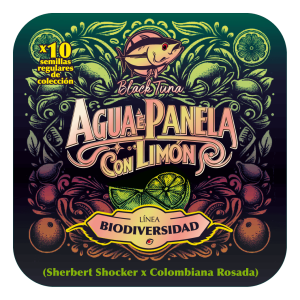 Agua e panela con limon