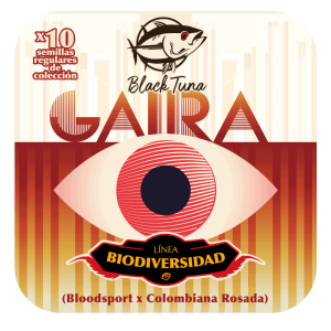 Gaira