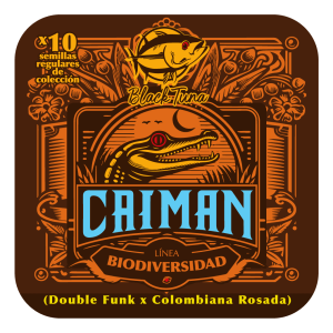 Caiman